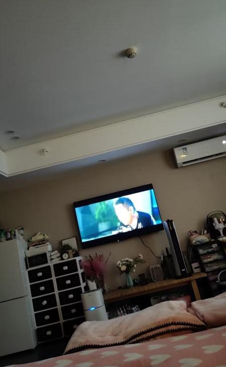 南站中项小野猫