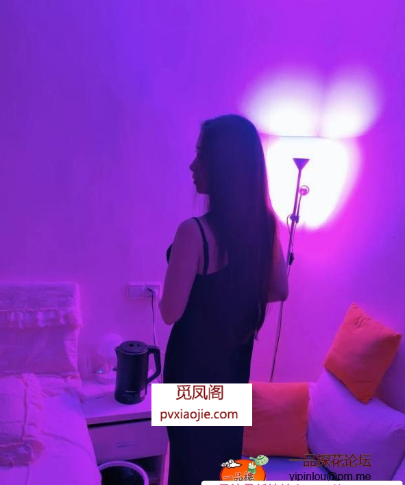 体验性价比雪儿